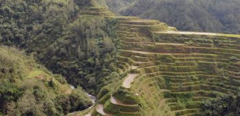rice terraces banaue northern phillippines